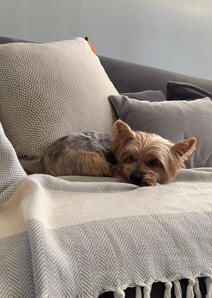 Cotton Throws Grey Herringbone Throw For Sofa Sorbet Earl Grey